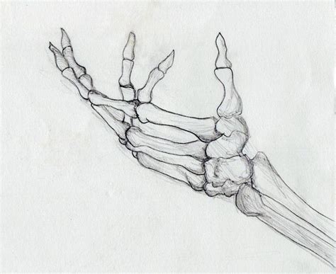 skeleton hand draw