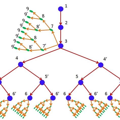 Image result for Tree Search Algorithm