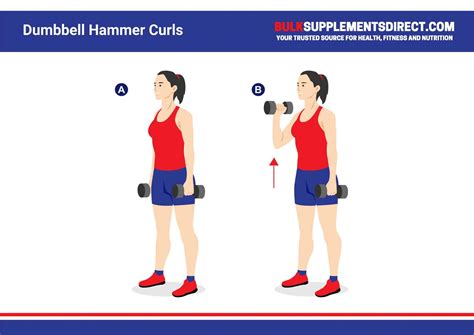 Bicep Tricep Superset: Get Bigger and Stronger Now!