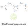 DHA oil | Docosahexaenoic Acid