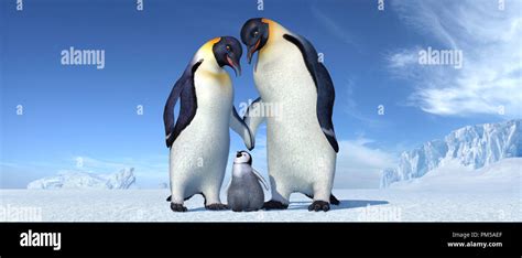 Image result for Install Absolute From Script
