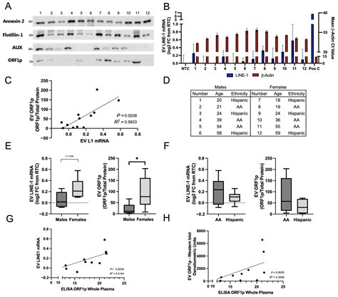 IJMS | Free Full-Text | Long Interspersed Nuclear Element-1 Analytes in ...