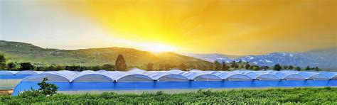 Polyhouse, Greenhouse & Hi-Tech Farming Experts – Agriplast Tech India