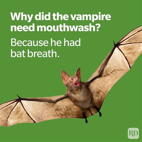 205 Funny Halloween Jokes for Kids and Adults in 2025 | Reader's Digest