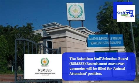 The Rajasthan Staff Selection Board (RSMSSB) Recruitment 2024: 5934 ...