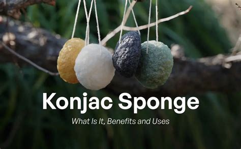 Konjac Sponge: What It Is, Benefits, How to Use