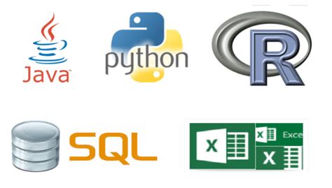 Image result for Java Python SQL Testing