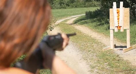 Image result for Basic Clay Target Instruction