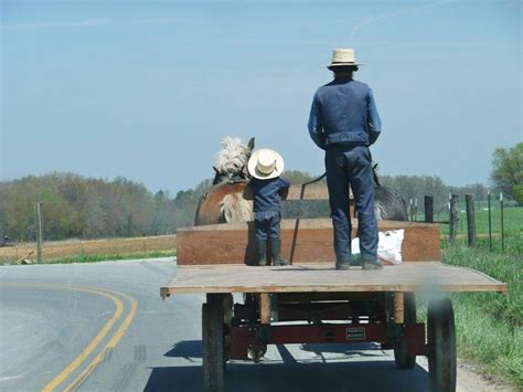 Amish in Tennessee: 2024 Guide (14 Communities) - Amish America