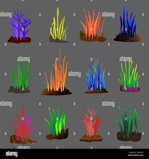 Ocean Plants Names For Kids