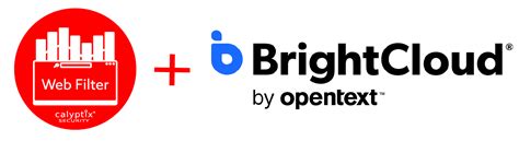 Web Filter Cloud Tutorial 的图像结果