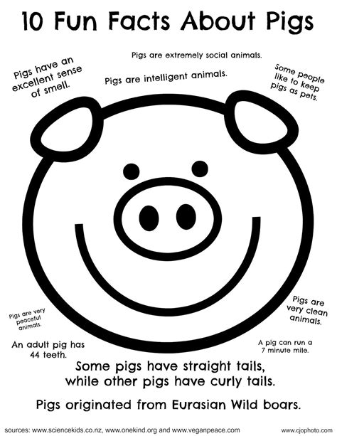 Fun Facts Coloring Page: Pigs | Pig facts for kids, Farm theme ...
