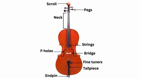 Image result for String Instruments Cello