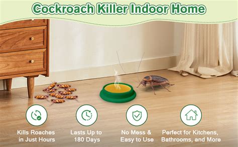 Cockroach Infestation Solutions 的图像结果