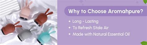 Aromahpure Hunny Bunny Luxury Car Perfume for Dashboard - Lavender ...