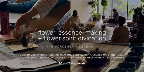 Flower Essence Making + Flower Spirit Divination | Workshop + Ceremony ...