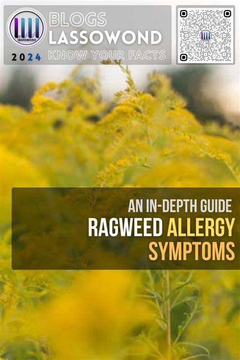 How to cope with ragweed allergies | Lassowond posted on the topic | LinkedIn