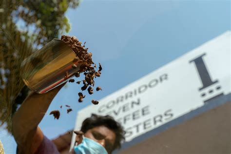 International Coffee Day: 10 Indian coffee brands that promise ...