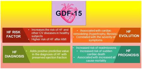 A Rising Star of the Multimarker Panel: Growth Differentiation Factor ...