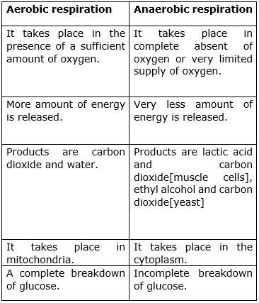 How does aerobic respiration differ from anaerobic respiration?