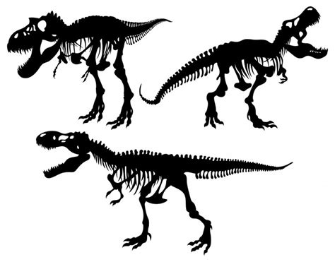 The skeleton of a predatory tyrannosaurus. strong tyrex with an open ...