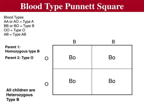 PPT - Blood Types PowerPoint Presentation, free download - ID:9126679
