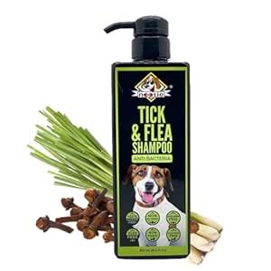 Buy NOOTIE Tick & Flea Shampoo for Dog & Puppies (500ML) (TICK & FLEA ...