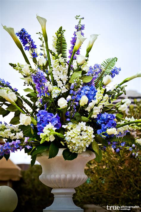 What Flowers Are Blue And White at Lynne Griffin blog