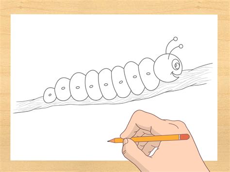 How to Draw a Caterpillar: Simple & Easy Tutorial