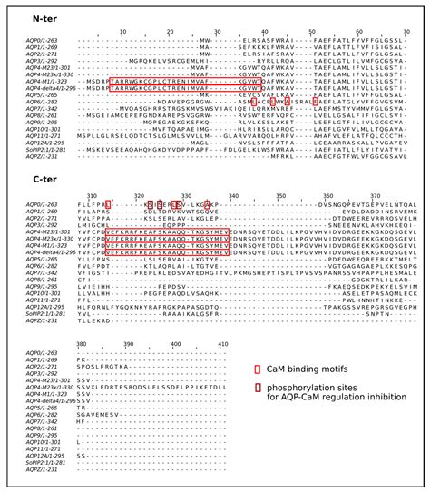 Aquaporin Modulation by Cations, a Review