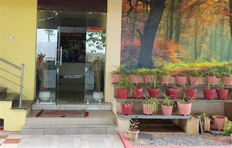Insider view of Lotus Pond Resort & Spa | Book Hotel in VFGV+326 ...