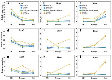 Validation of Novel Reference Genes in Different Rice Plant Tissues ...