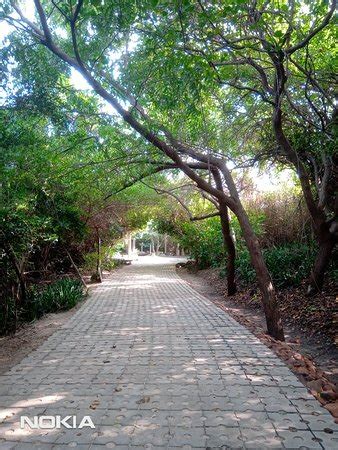 Tholkappia Poonga (Chennai) - 2021 What to Know Before You Go (with ...