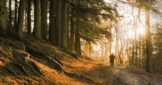 About Our Company - AstraZeneca