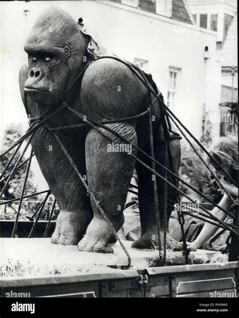 Biggest Gorilla In The World