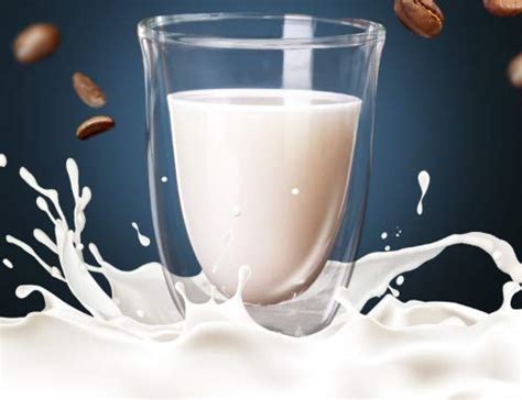 Buy Spatlus Double Wall Thermal Insulated Mug for Drinking Tea,Coffee ...