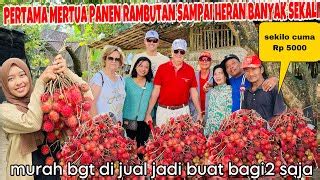 Indonesia Youtube Trends - Today's youtube trending videos in Indonesia