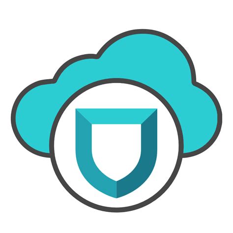 Image result for Lace Work Fortinet Application Protection