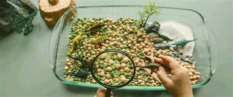 Company recalls baby cereal following testing shows contamination with ...