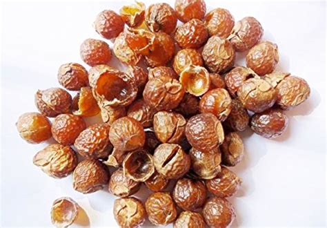 Harika Soap Nuts ( Reetha /Kunkudukayalu /Aritha) - Seedless & Sun ...