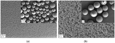 Preparation and Chromatographic Application of β-Cyclodextrin ...
