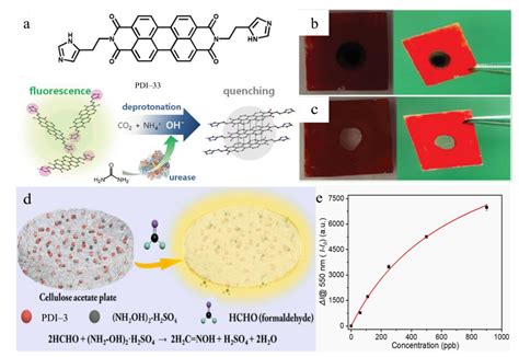 Architectures and Mechanisms of Perylene Diimide-Based Optical ...