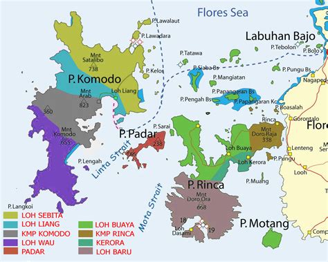 Kontemplasi Asa: Menjelajah Labuan Bajo dengan Tixton: Wujudkan Liburan Impian Serba Mudah dan ...