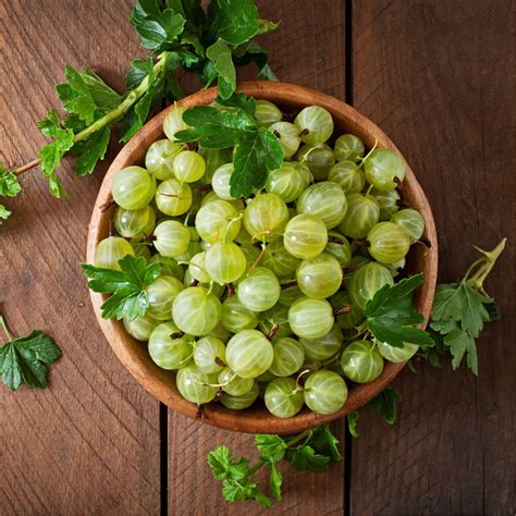 Awla (Emblica officinalis) | Awla Medical Advantages