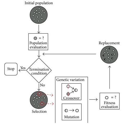 Image result for Evolutionary Algorithm