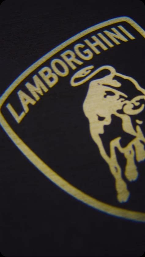 Rikki Bell (@rikki_bell) • Instagram photos and videos