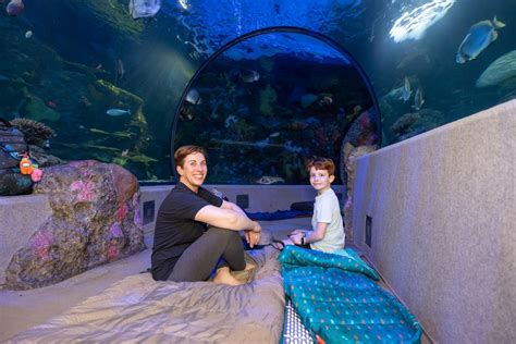 Zzzs Under the Sea Family, 717 General Booth Blvd, Virginia Beach, VA ...