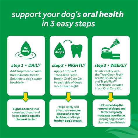 Buy TropiClean Fresh Breath Dog Teeth Cleaning - Dental Care Solution ...