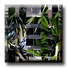 Image result for DVD Slideshow GUI