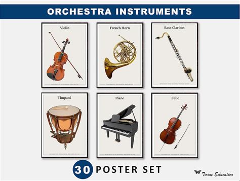 Image result for Orchestra String Instruments Posters
